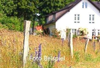 Grundstück mit Altbestand