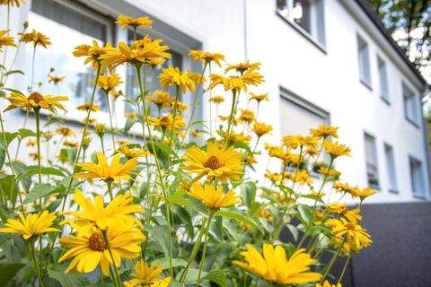 Gelsenkirchen Wohnungen, Gelsenkirchen Wohnung mieten