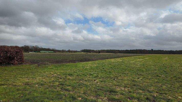 Blick auf das Wohngrundstück