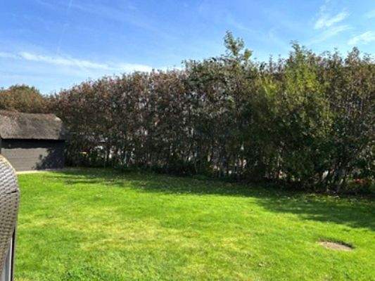 Rundum Büsche als Sichtschutz