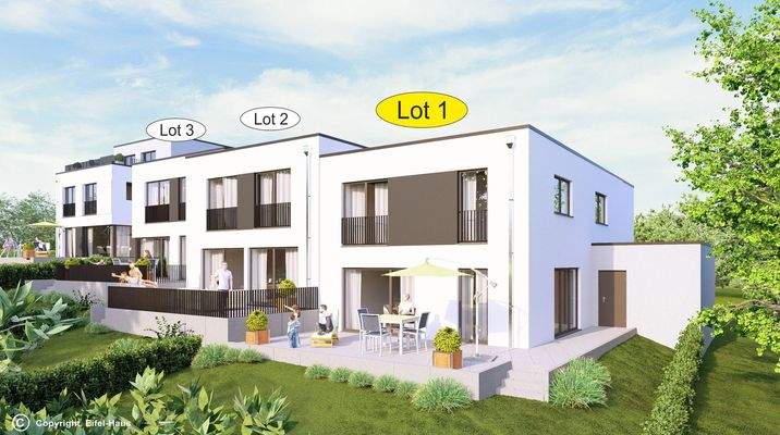 LOT 1  Rue Haute Bild 3 (002)