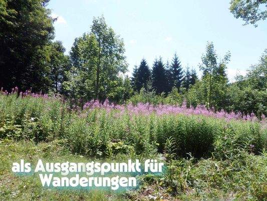 Impressionen vom Grundstück