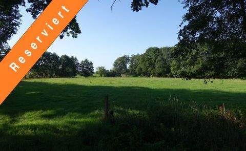 Wietzen Bauernhöfe, Landwirtschaft, Wietzen Forstwirtschaft