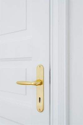 Neue Türen mit Profil und Kass