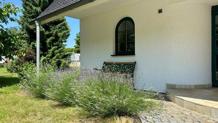 Eingangsbereich mit Lavendel