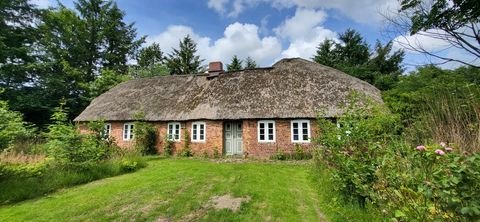 Risum-Lindholm Häuser, Risum-Lindholm Haus kaufen