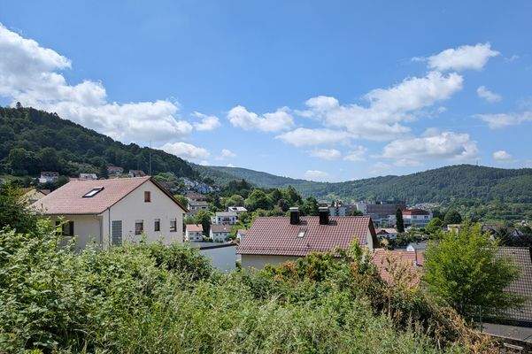 Ansicht-S