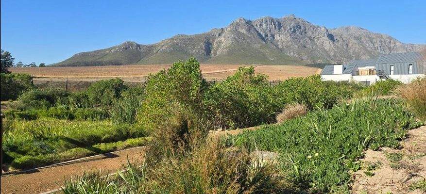 immosquare-objekt 271 (16)