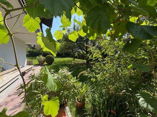 gemütliche Terrasse