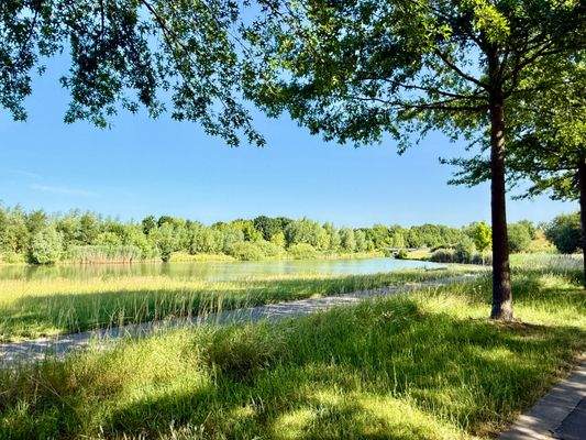 Bogensee am Grünen Bogen