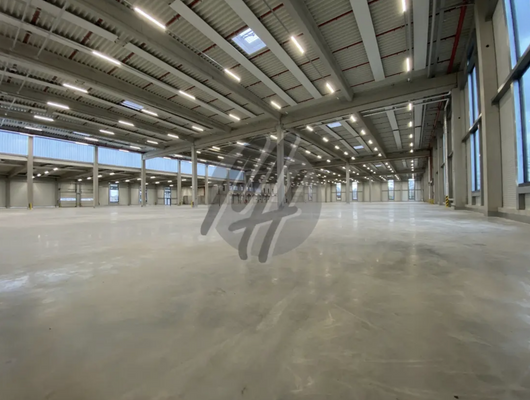 INFOS UNTER: 06171-586000