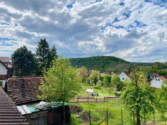 OG - Blick von der Terrasse ...