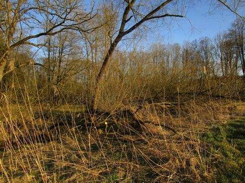 Moosburg Grundstücke, Moosburg Grundstück kaufen