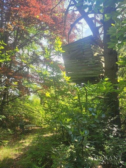 Trippstadt Grundstücke, Trippstadt Grundstück kaufen