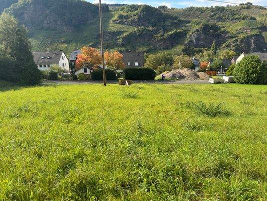 Aussicht vom Grundstück