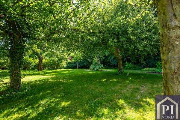 Historischer Apfelbaumbestand