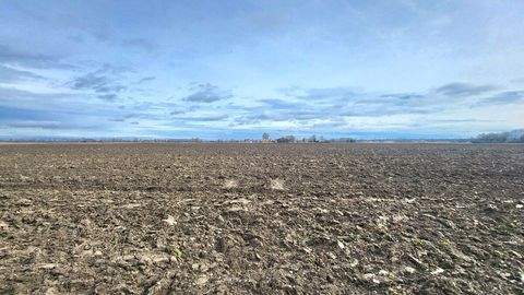 Leipheim / Riedheim Bauernhöfe, Landwirtschaft, Leipheim / Riedheim Forstwirtschaft