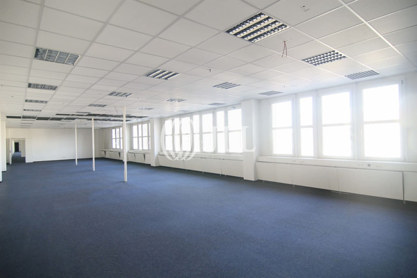 Büroflächen 1.OG