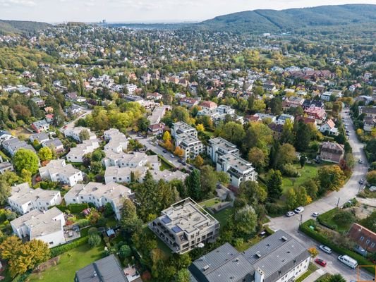 Viwaldi. Ein lauschiges Plätzchen, leicht erhöht im Wienerwald.