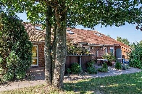 Boltenhagen Häuser, Boltenhagen Haus kaufen