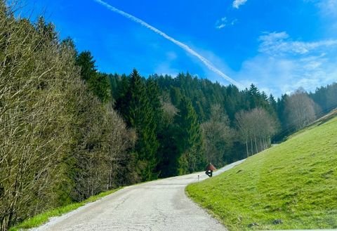 Vordertheißenegg Grundstücke, Vordertheißenegg Grundstück kaufen