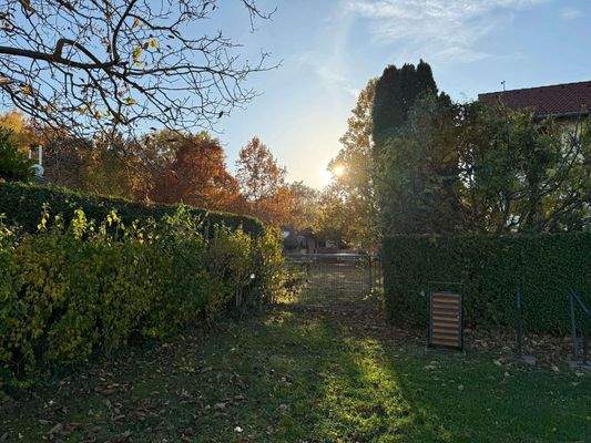 WhatsApp-kép, 2025-11-01, 15.04.30_a6a30191 (1).jp