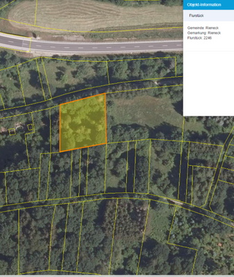 Luftbild FlNr. 2246 Rieneck