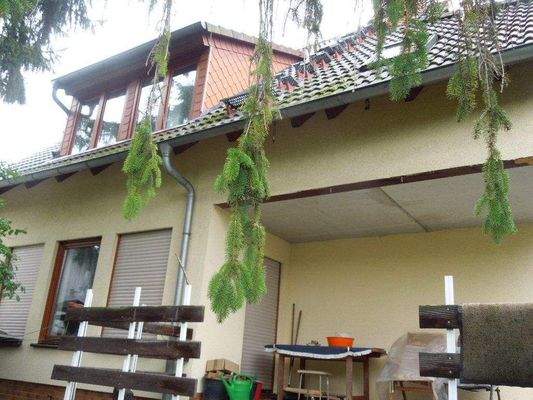 Gartenseite mit Terrasse