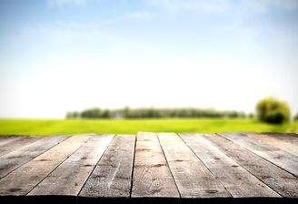 Blick in den Garten,  Holzbretter