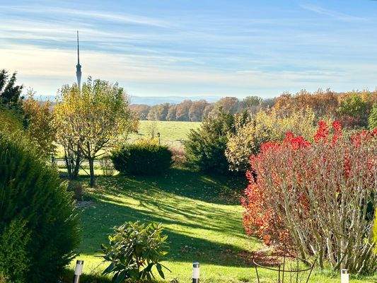 wunderschöner Garten mit unverbaubarem Blick