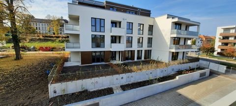 Dresden Wohnungen, Dresden Wohnung mieten