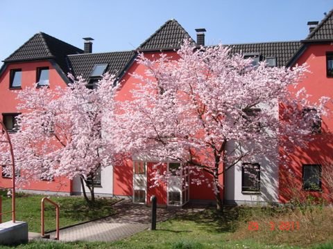 Trier Garage, Trier Stellplatz