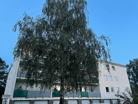 Bad Homburg vor der Höhe Wohnungen, Bad Homburg vor der Höhe Wohnung kaufen