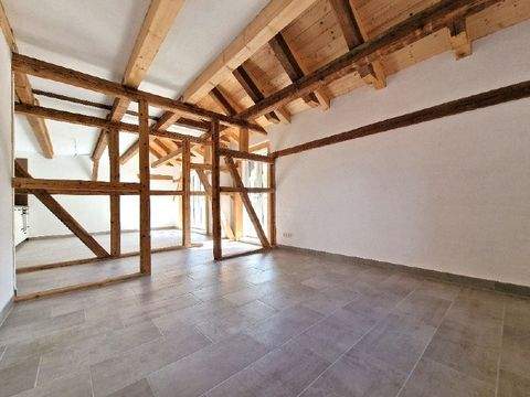 Wolfsburg Wohnungen, Wolfsburg Wohnung mieten