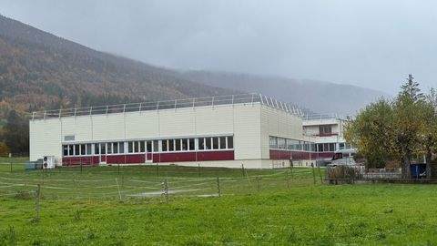 Welschenrohr, SO Halle, Welschenrohr, SO Hallenfläche