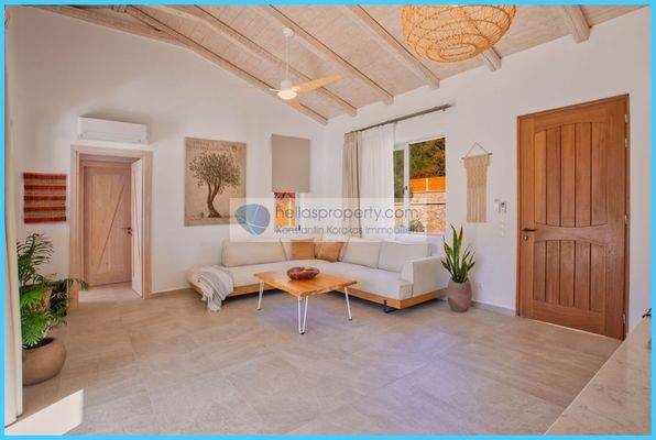 8df333689c8047a384899e279ea555c3-original