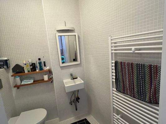 EG: Modernisiertes Dusch-Bad mit WC