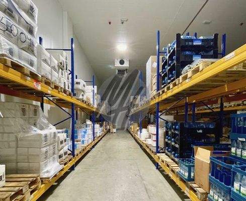 INFOS UNTER: 06171-586000