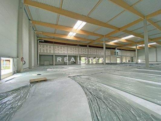 Beispiel Innenansicht Hallenfläche