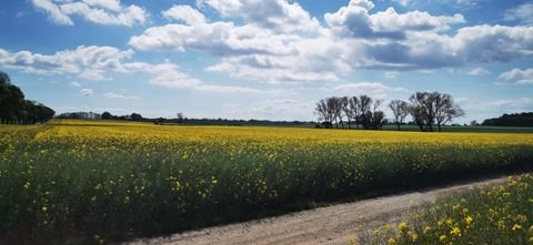 Basedow Wohnungen, Basedow Wohnung mieten