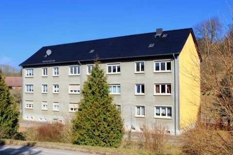 Sangerhausen Wohnungen, Sangerhausen Wohnung kaufen