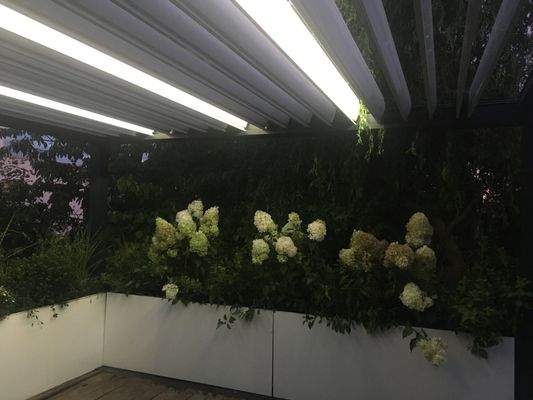 Trier-Kürenz-Petrisberg