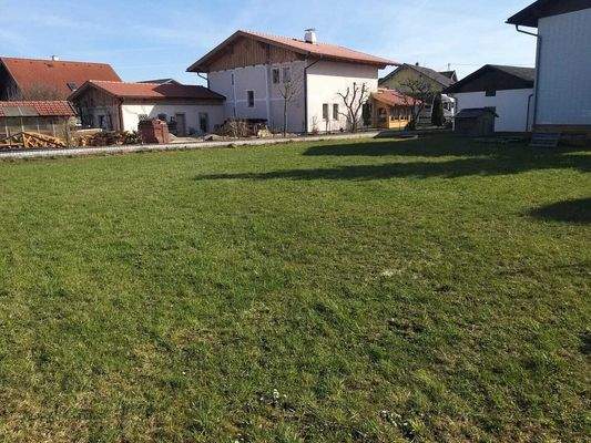 Ansicht: Grundstück - Neukirchen an der Enknach bei Braunau Kauf