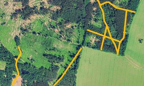 Königshain Bauernhöfe, Landwirtschaft, Königshain Forstwirtschaft