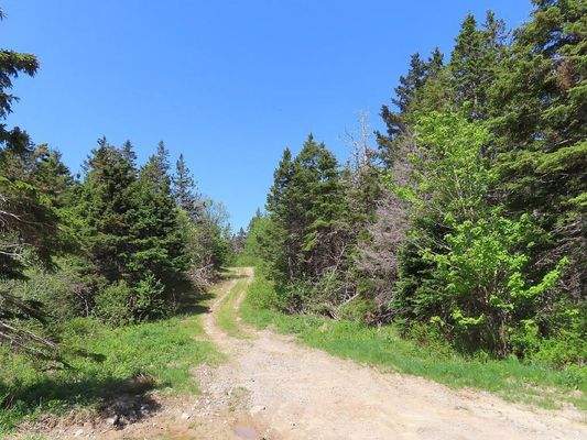 Cape Breton - 11,4 Hektar inmitten einer herrliche