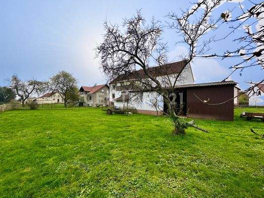 Garten mit Blick zum Haus