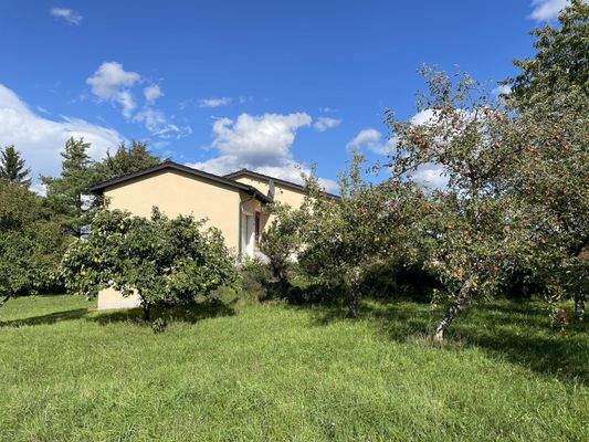 Garten mit Westansicht der Immobilie