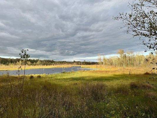 23_Wittmoor_Naturschutzgebiet