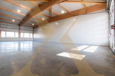 Arbing Halle, Arbing Hallenfläche