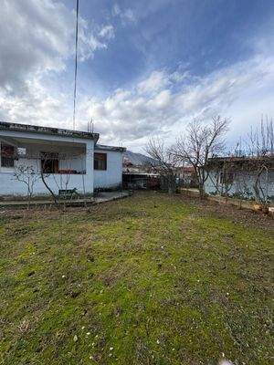 WhatsApp Image 2025-12-29 at 13.02.28 (1).jpeg